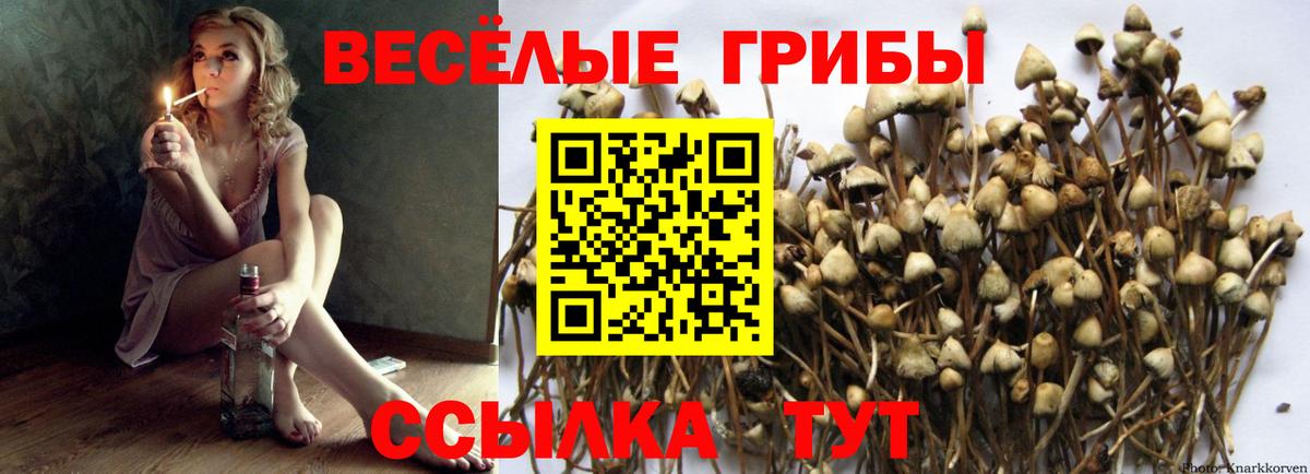 Псилоцибиновые грибы MAGIC MUSHROOMS Кызыл