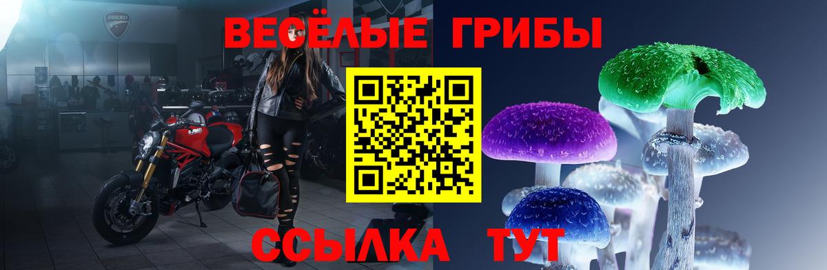 Галлюциногенные грибы GOLDEN TEACHER  Галлюциногенные грибы MAGIC MUSHROOMS  Кызыл  Вход с VPN 